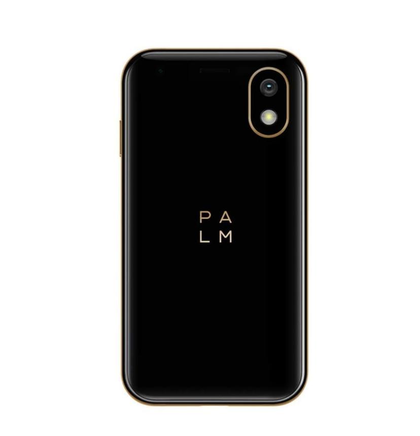 Palm Phone PVG100 back view