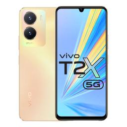 related vivo T2x image