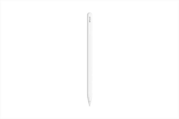 Stylus magnetically attached to iPad, used for drawing.