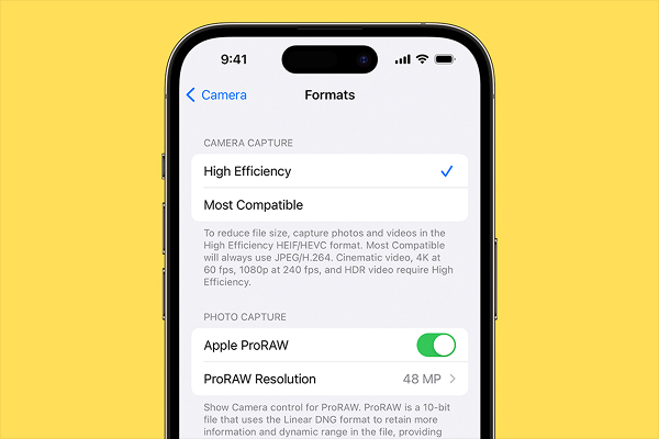 iPhone Camera ProRAW setting for capturing maximum detail and dynamic range.