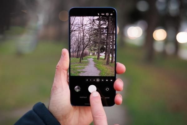 Daylight photo showing sharp detail and vibrant colors
